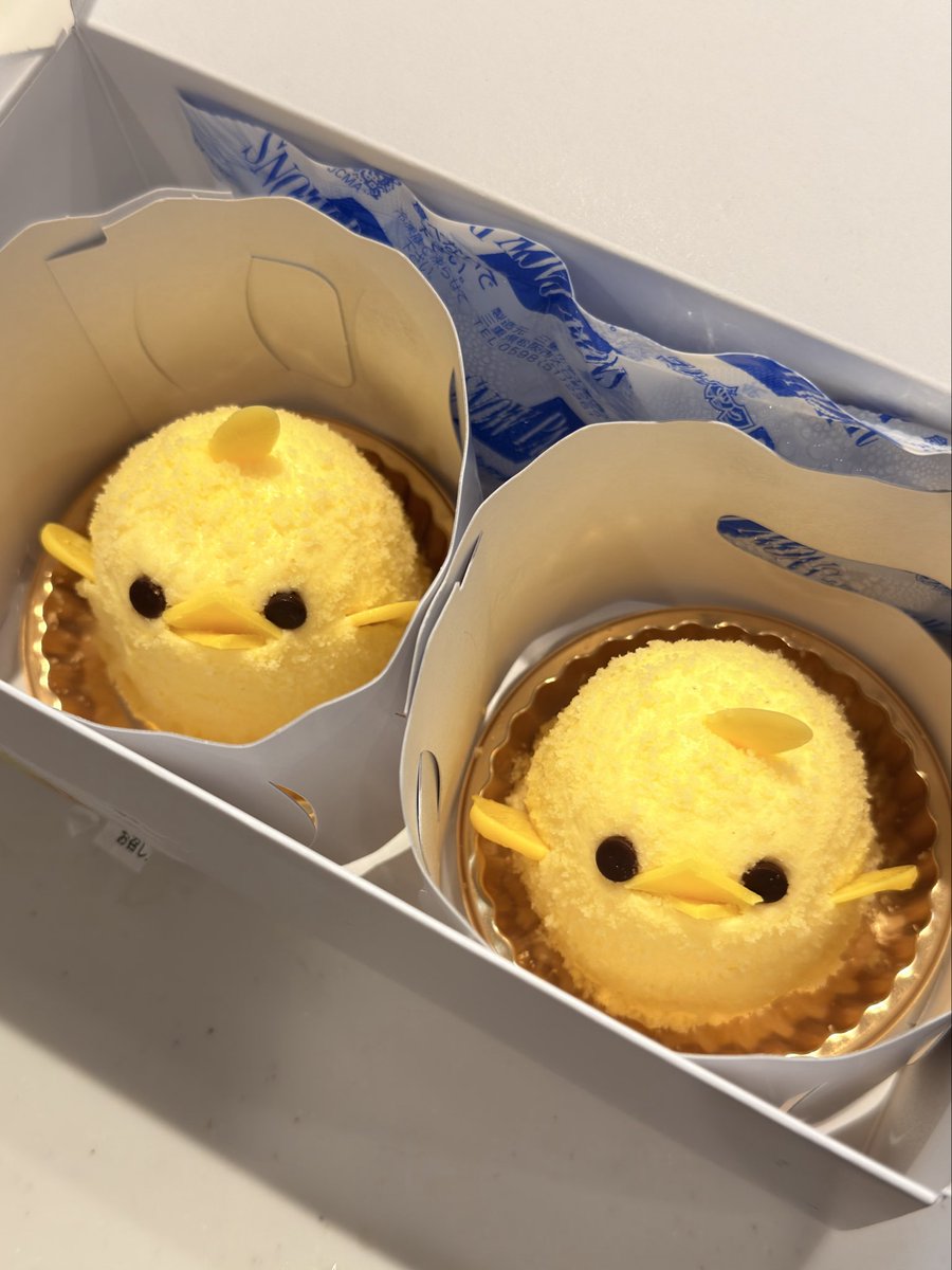 しょうた🐟 tweet media