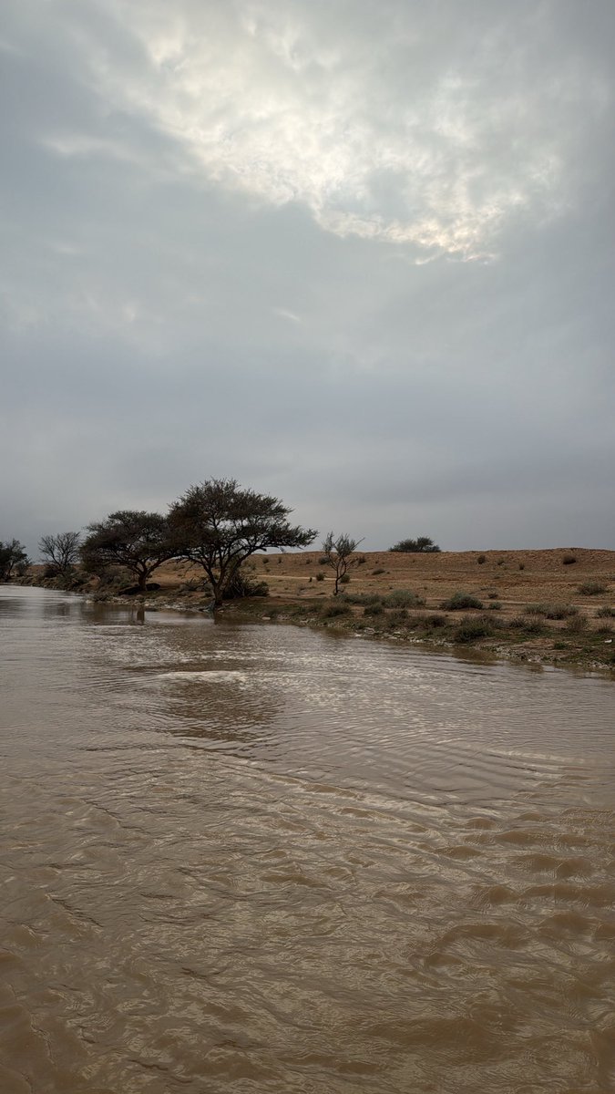 معاذ العتيبي tweet media