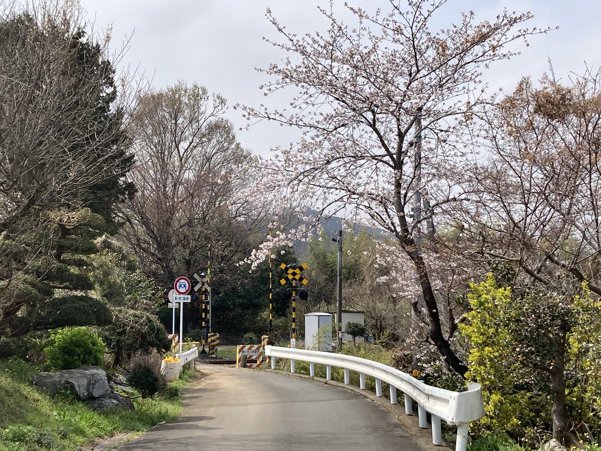 才賀淳貴@里山サイクルツーリスト tweet media