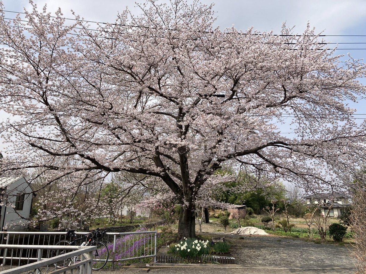 才賀淳貴@里山サイクルツーリスト tweet media