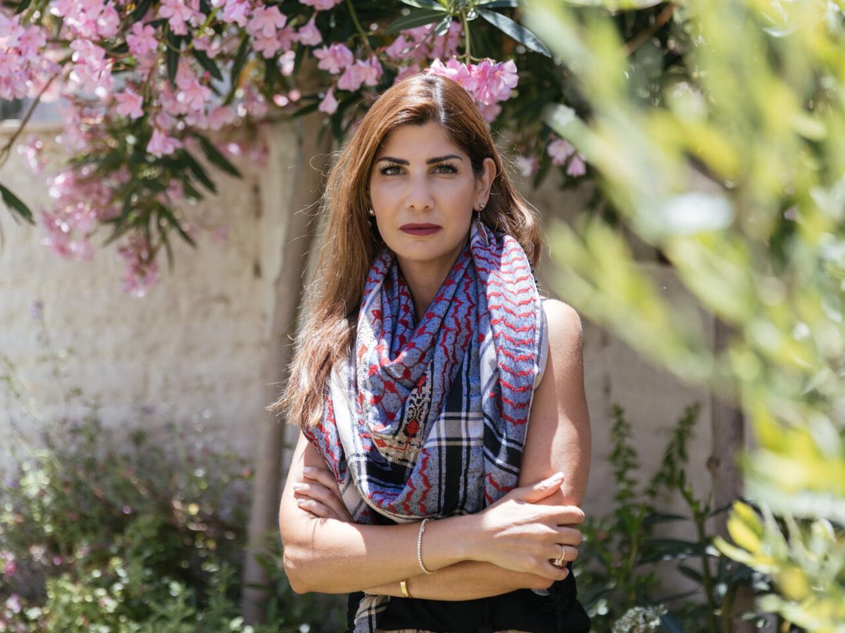 MisterChiton tweet media