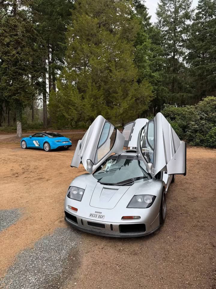 Car Culture tweet media