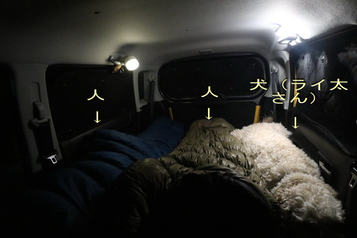 ライ太さん tweet media