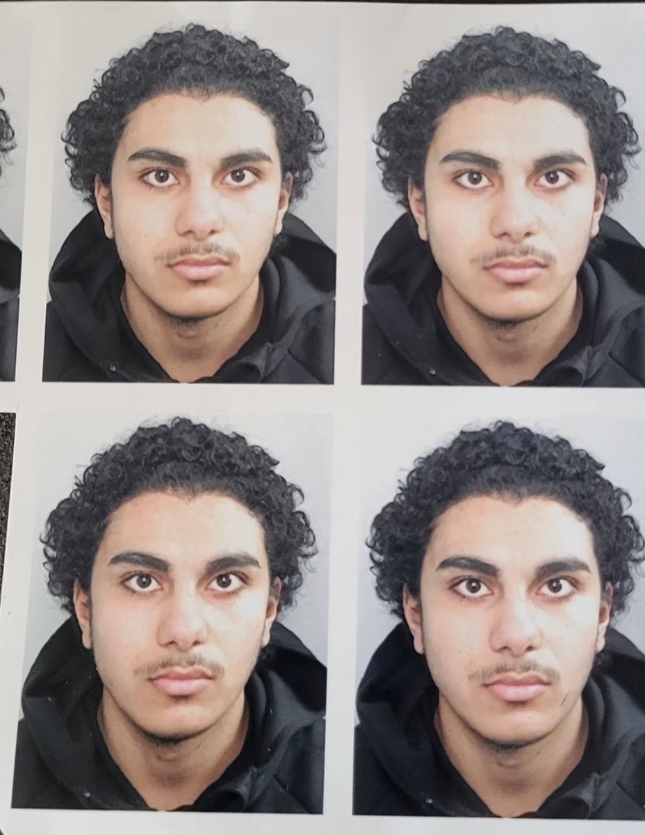 🇵🇸🇾🇪🇨🇩🇱🇧🇸🇩 tweet media