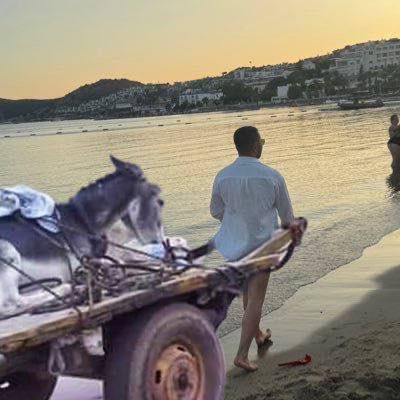 Saitama | ناظم tweet media