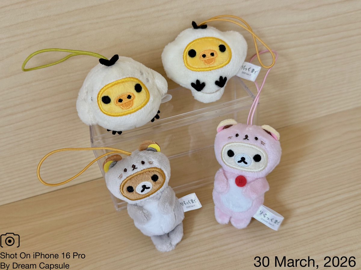 ドリームカプセルの中の人【公式】 tweet media