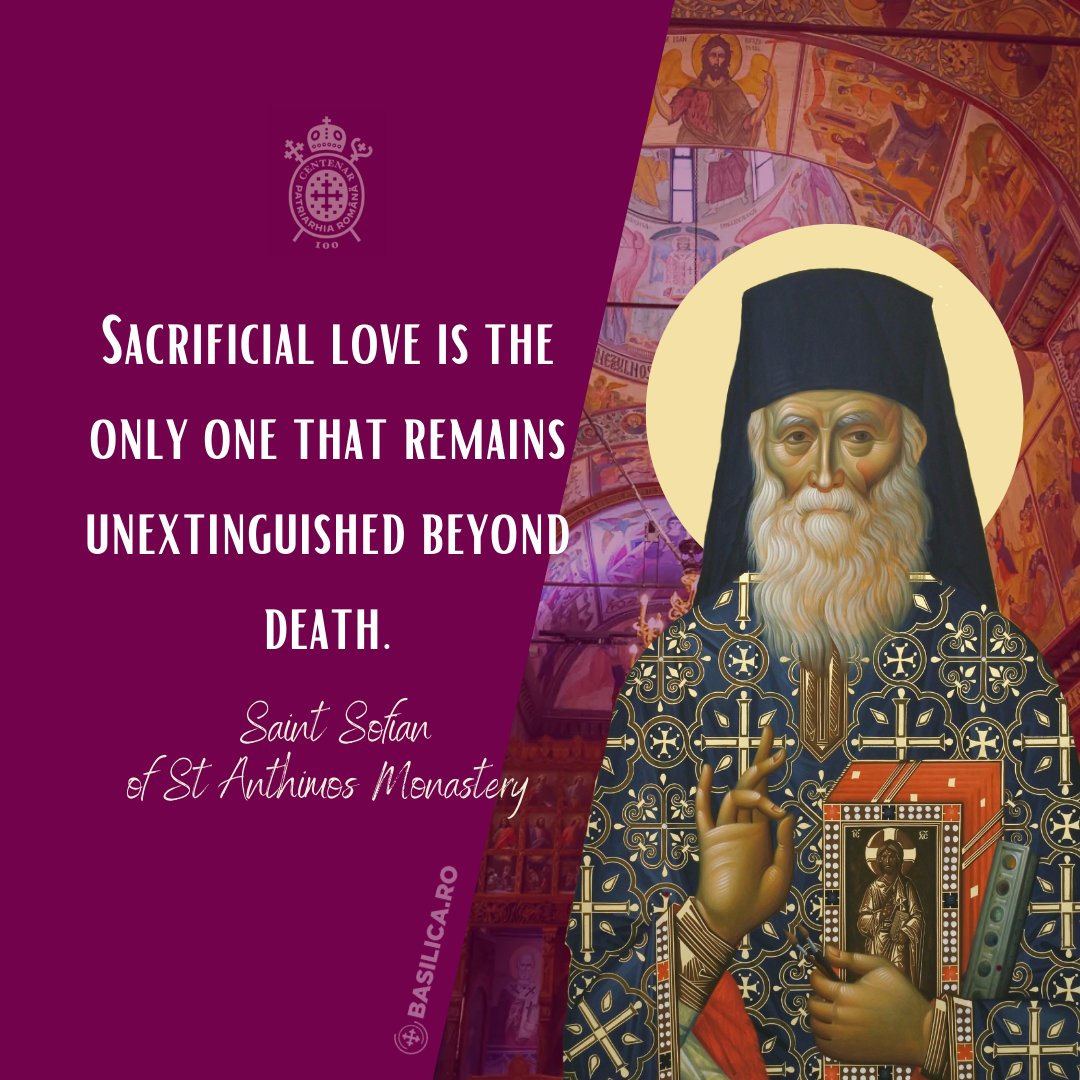 Jonah In Wales 🦊 tweet media