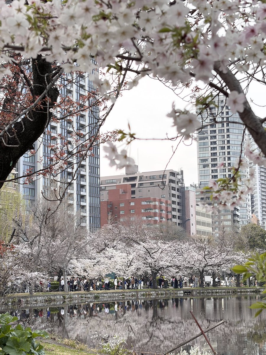 あきやまえんま😈 tweet media