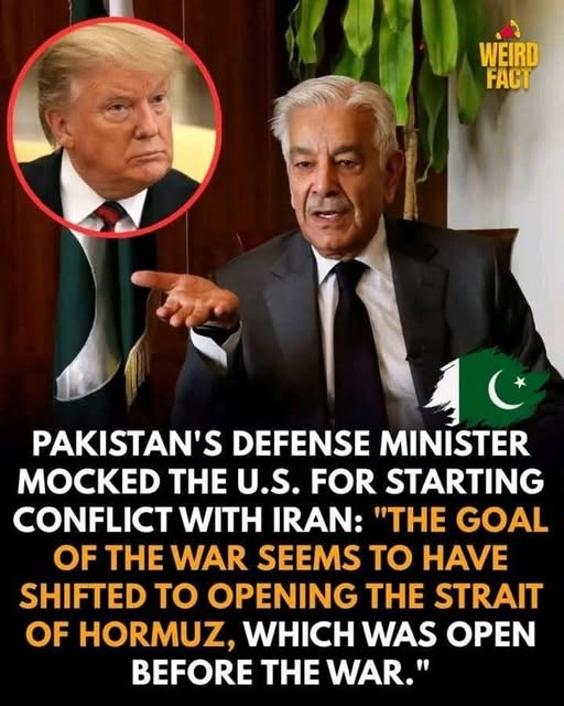 dave lawrence 🐟🐟🐠 tweet media