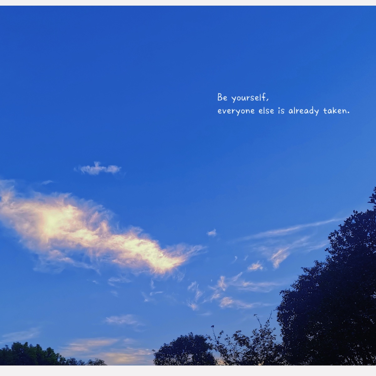 +90 543 847 6434 tweet media