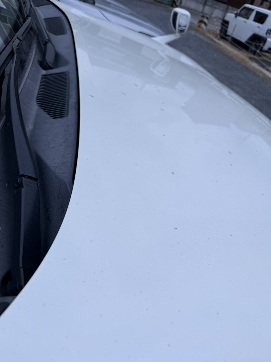 世界のケ2アナ tweet media