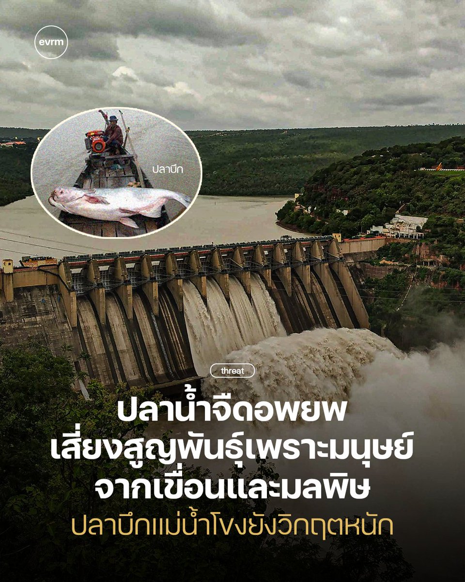 environman tweet media