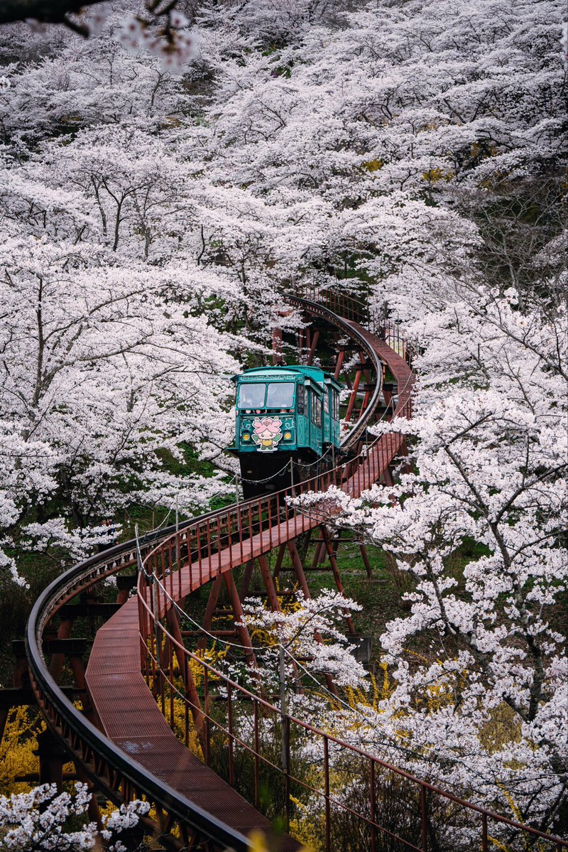 桜スロープカー