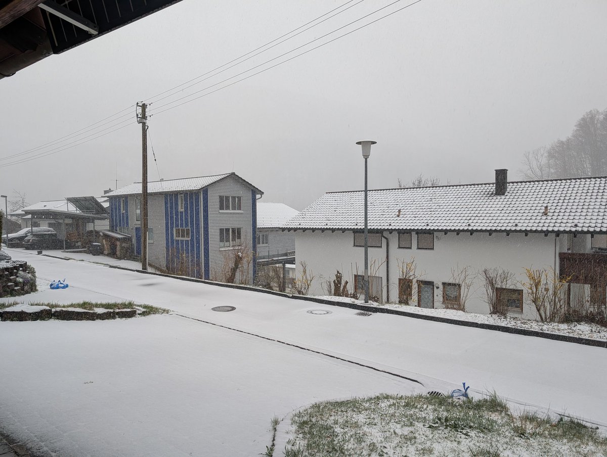 Steff 🤍❤️ tweet media