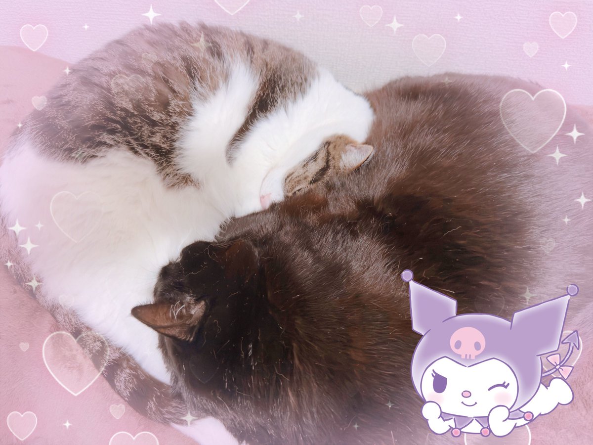 あちゅ❦😈ིྀ🎀ིྀ tweet media