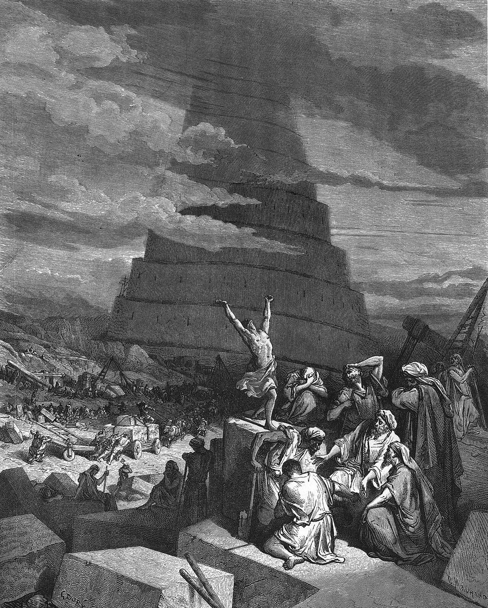 Vatanabeus tweet media