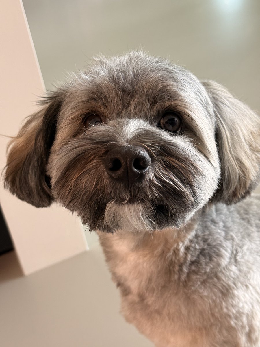 F U Z Z Y G O A T ™ tweet media