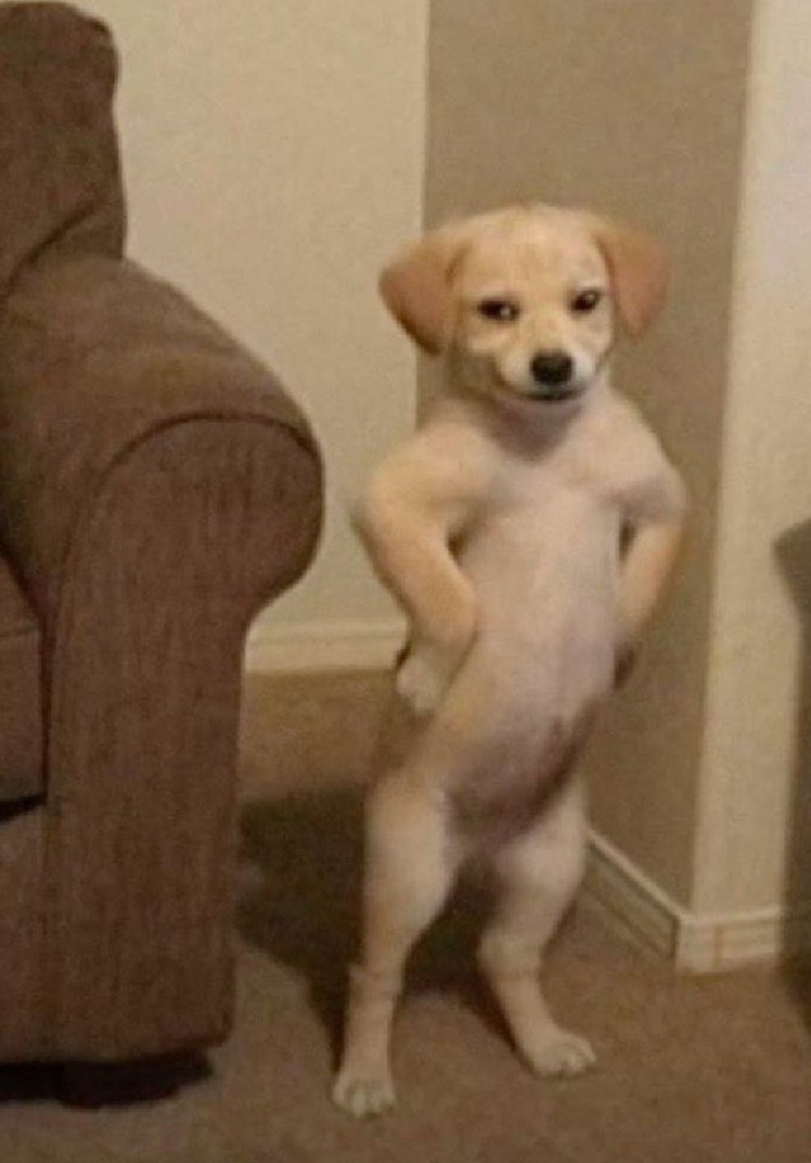 Super Harry Maguire tweet media