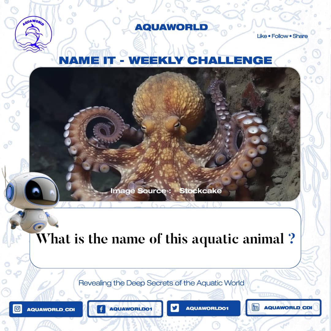 𝐀𝐐𝐔𝐀𝐖𝐎𝐑𝐋𝐃 𝐖𝐄𝐄𝐊𝐋𝐘 "𝐍𝐀𝐌𝐄 𝐈𝐓" 𝐂𝐇𝐀𝐋𝐋𝐄𝐍𝐆𝐄

This mysterious creature lives in the deep ocean where sunlight barely reaches.

Can you identify this deep-sea animal? 👀

#Aquaworld #NameItChallenge #DeepSeaCreatures #FishID #AquaticWorld #Marine species