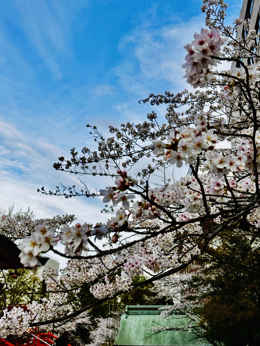 新宿ゴールデン街ウィスカ（BAR UISCE） tweet media