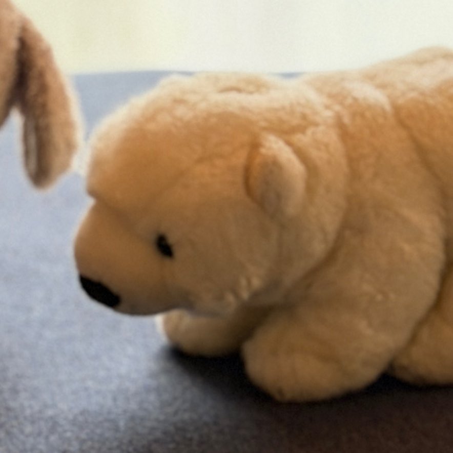 oppohonpo tweet media