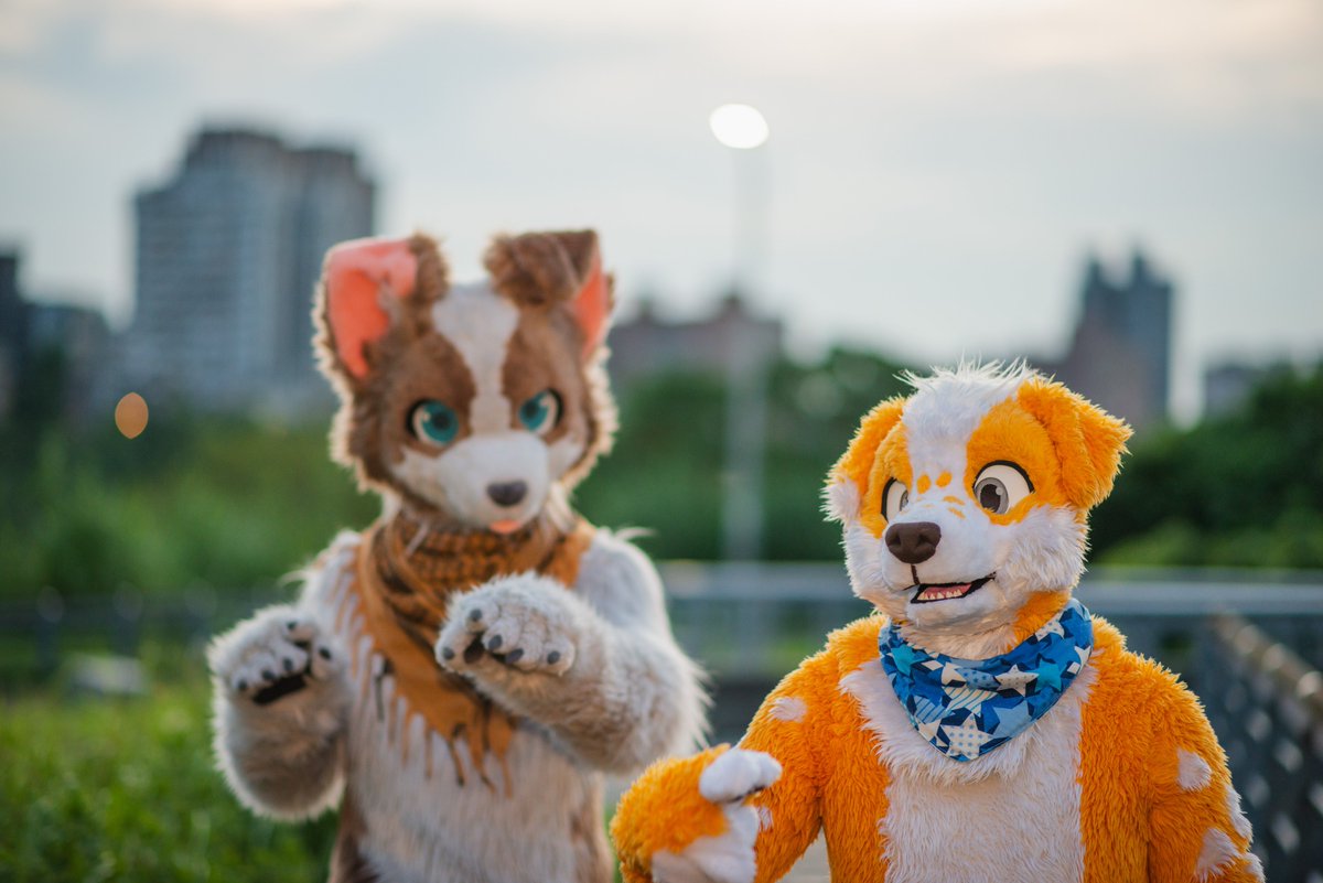 Ca Woof ➡️ Thaitails tweet media