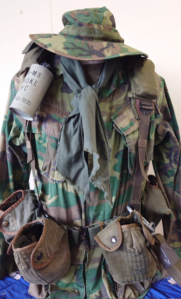 ヌートリア tweet media