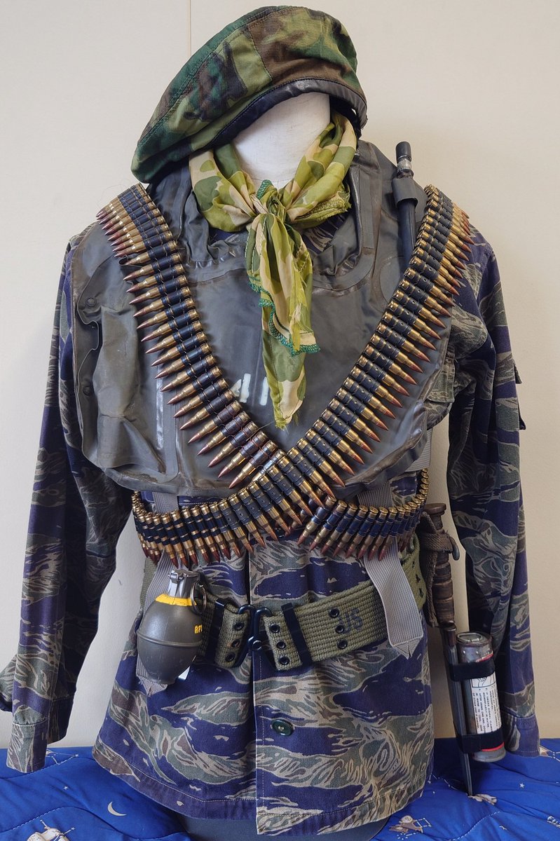 ヌートリア tweet media