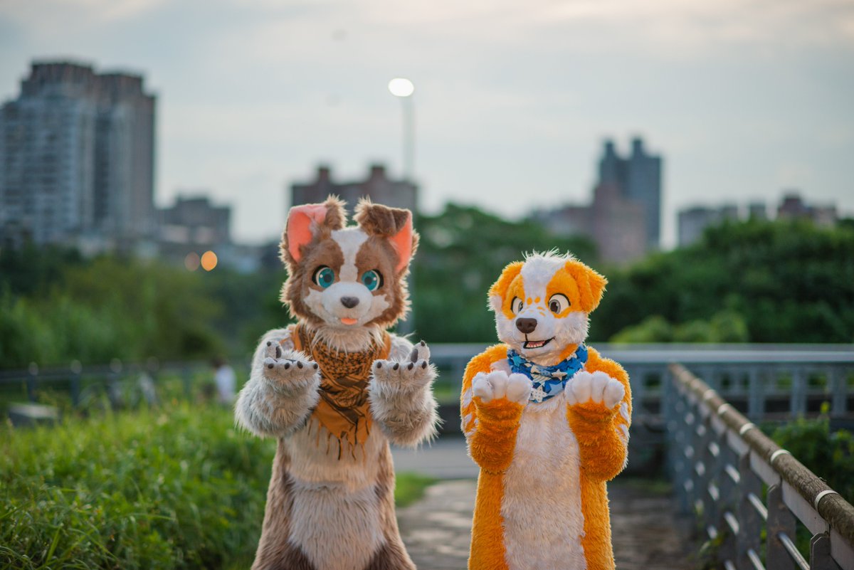 Ca Woof ➡️ Thaitails tweet media