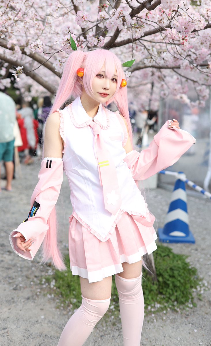 🐰koko🐭 tweet media