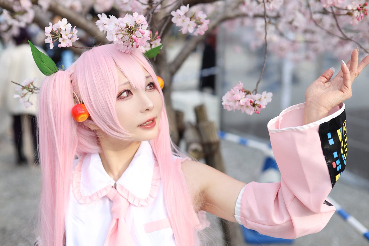 🐰koko🐭 tweet media