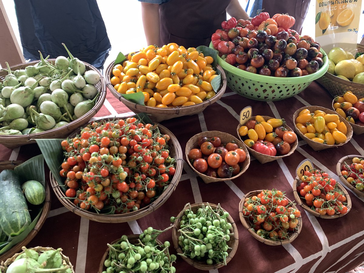 lalaland tweet media