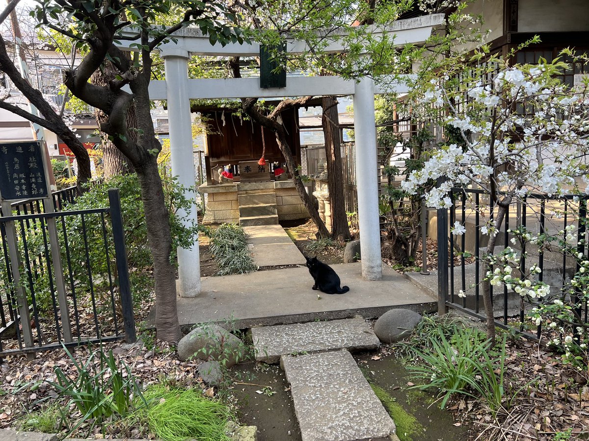 鴉尊アッシュ⛩️🐦⬛ASTRALINE: OMEN tweet media
