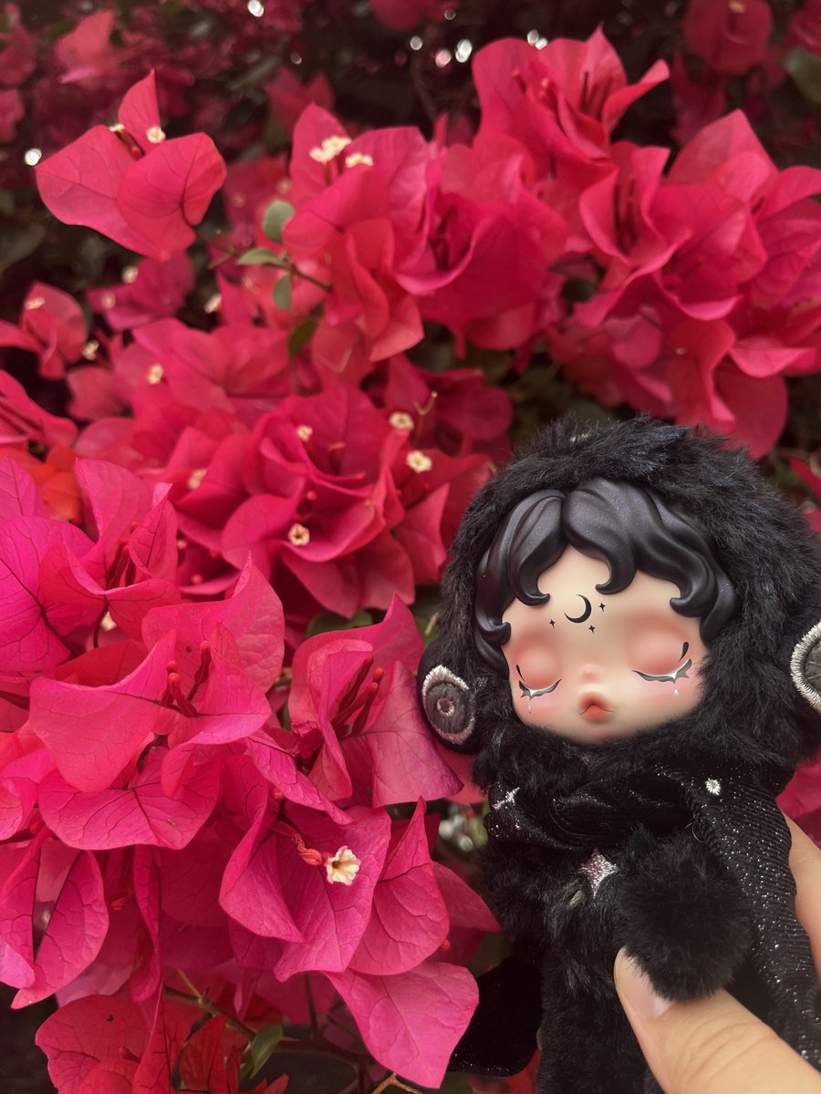 Lisa green🪷 tweet media