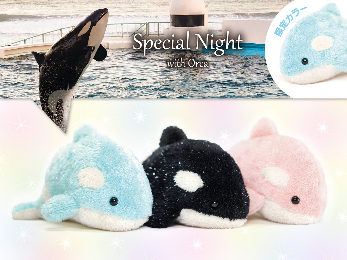 シルバーラメ糸が入った「キラキラシャチぬいぐるみ」が販売中！
ブラックとピンクは館内ショップでの販売、ブルーは4月4日(土)から始まる閉館後のシャチパフォーマンス『Special Night with Orca』限定販売カラーとなります！

光を浴びてキラキラ輝く柔らかな手触りのぬいぐるみです♪