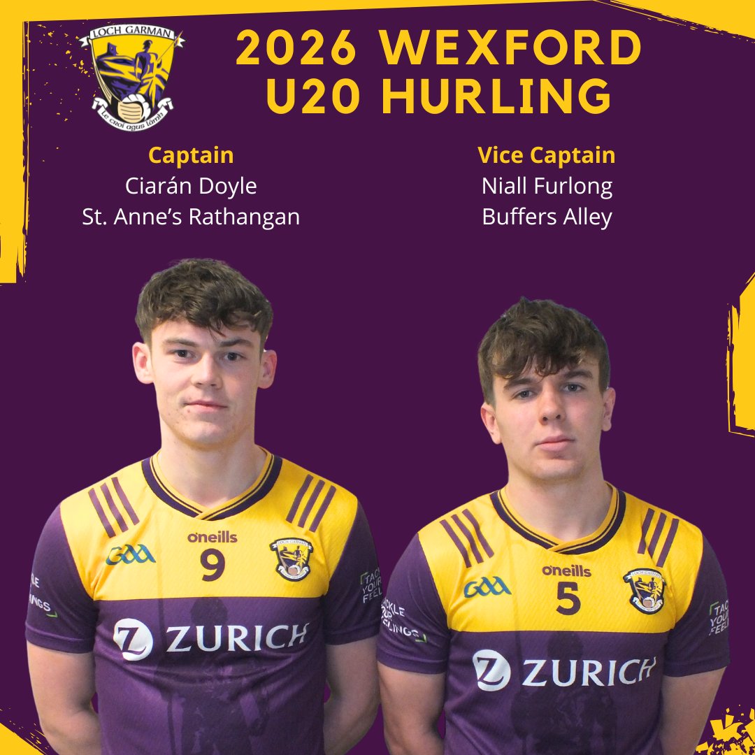Wexford GAA tweet media