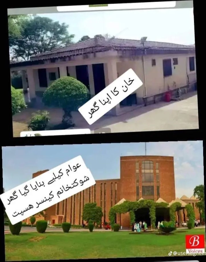 Fatima PTI tweet media