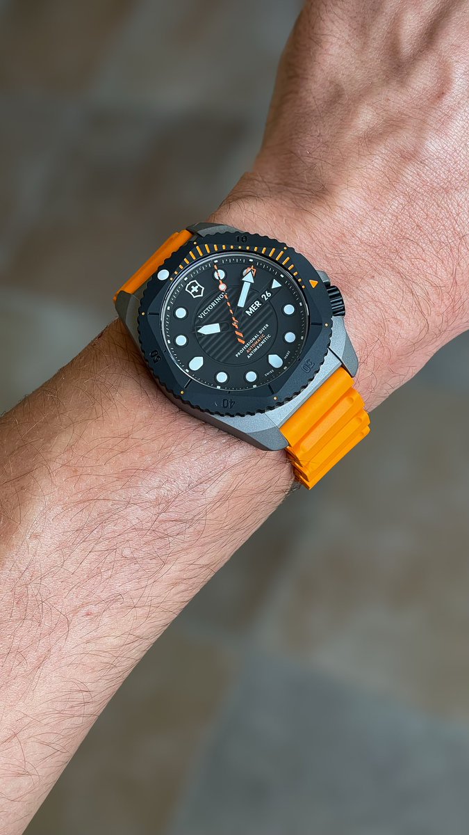 Toujours -55% sur ces 2 références avec le code cmtempus55 🔥

Des montres de qualité à un prix super abordable grâce à bibi 🫡

C’est maintenant ou jamais