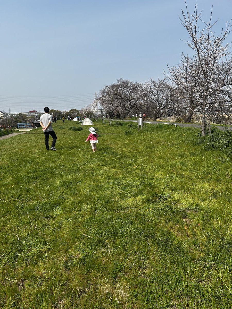 加藤メカ tweet media