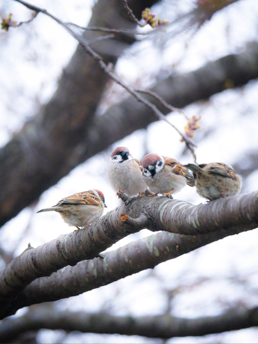 たーこいず☘️(•'ө'•)໒꒱ tweet media