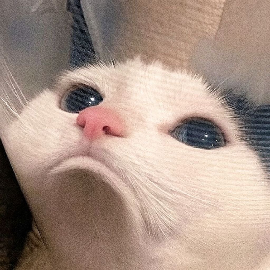 EARLY PASS! 🐈‍⬛ tweet media