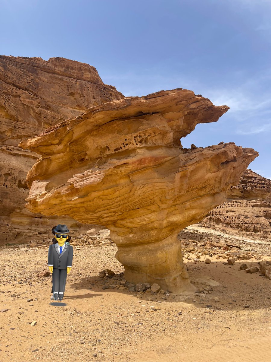 やまもと tweet media