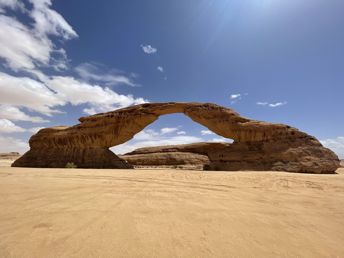 やまもと tweet media