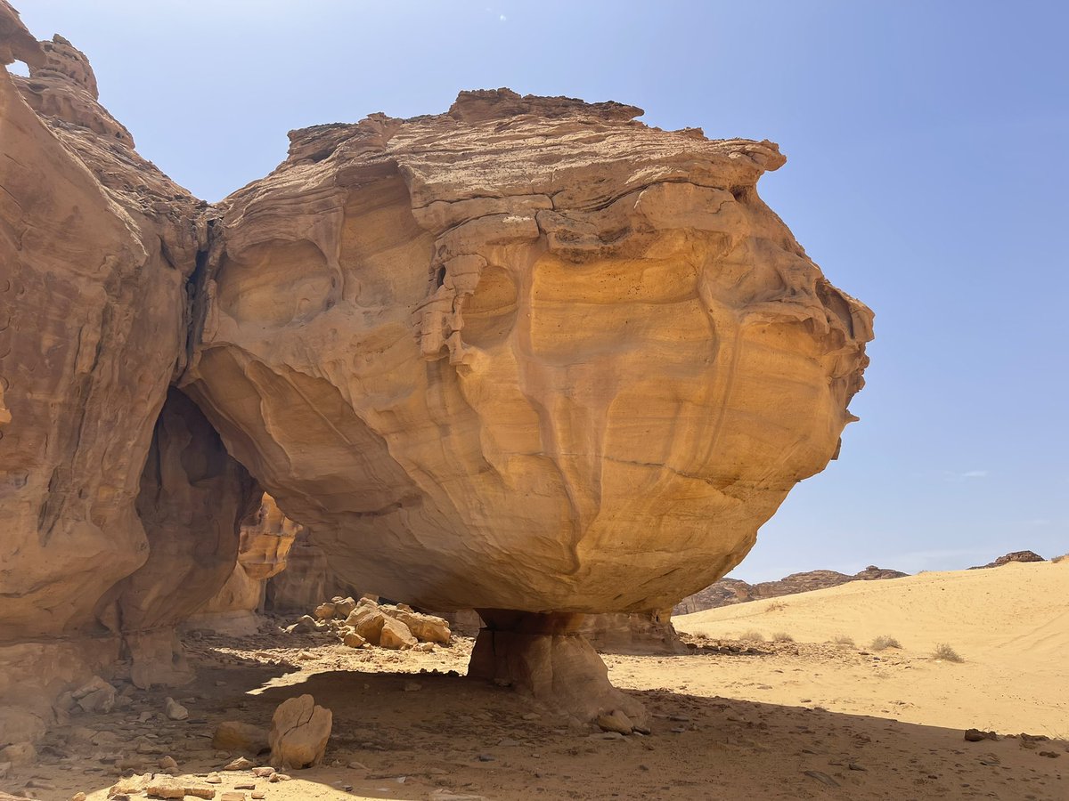 やまもと tweet media