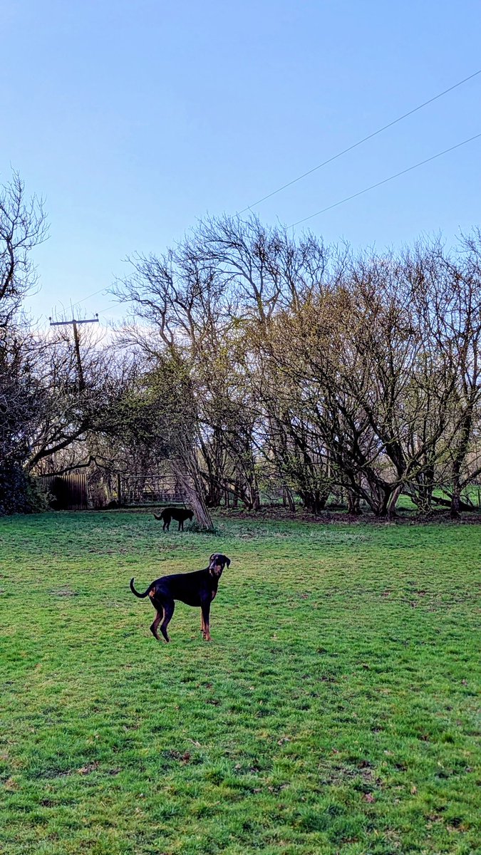 NotBadForHerAge's tweet image. For the record....we have blue skies 😁😃 #cumbria