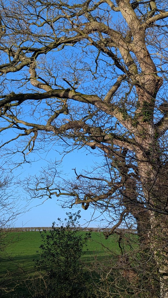 NotBadForHerAge's tweet image. For the record....we have blue skies 😁😃 #cumbria