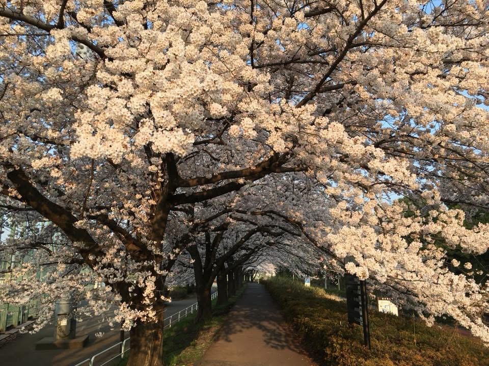 高野 律雄 tweet media