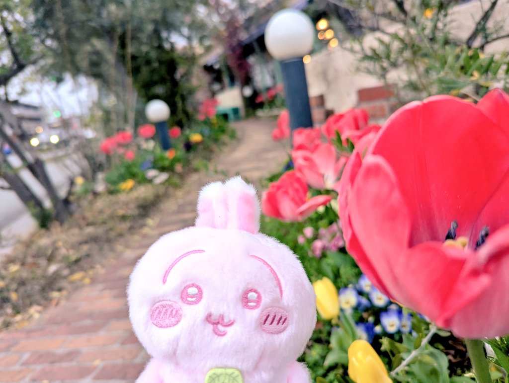 おちゃプル tweet media