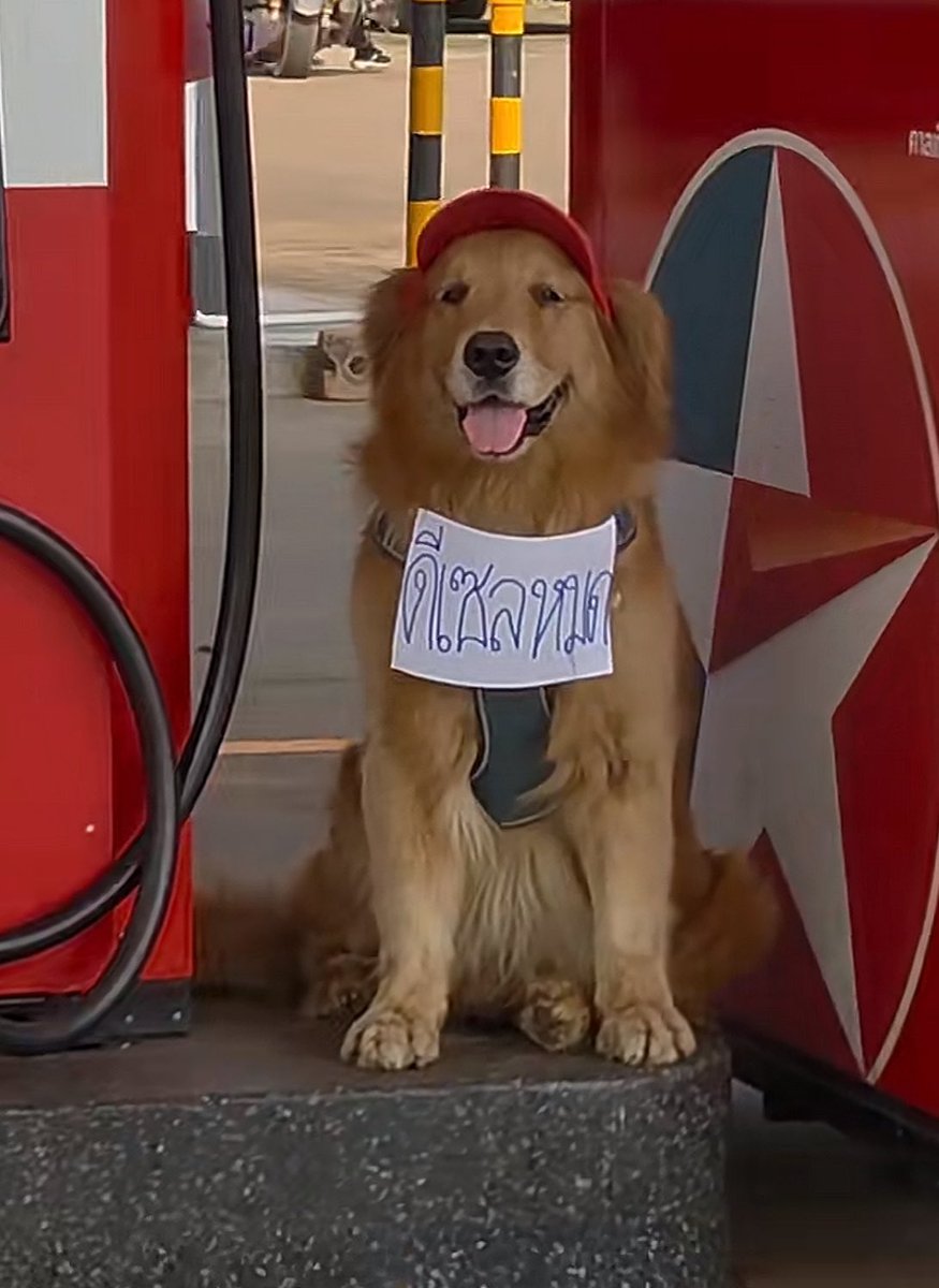 —nany ⁶⁵ ᙏ̤̫͚ ♡ tweet media