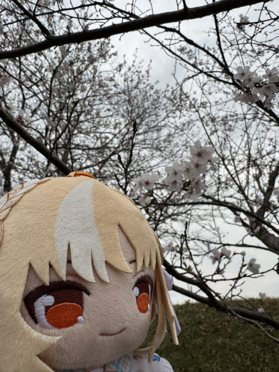 みっちゃん🔥 tweet media